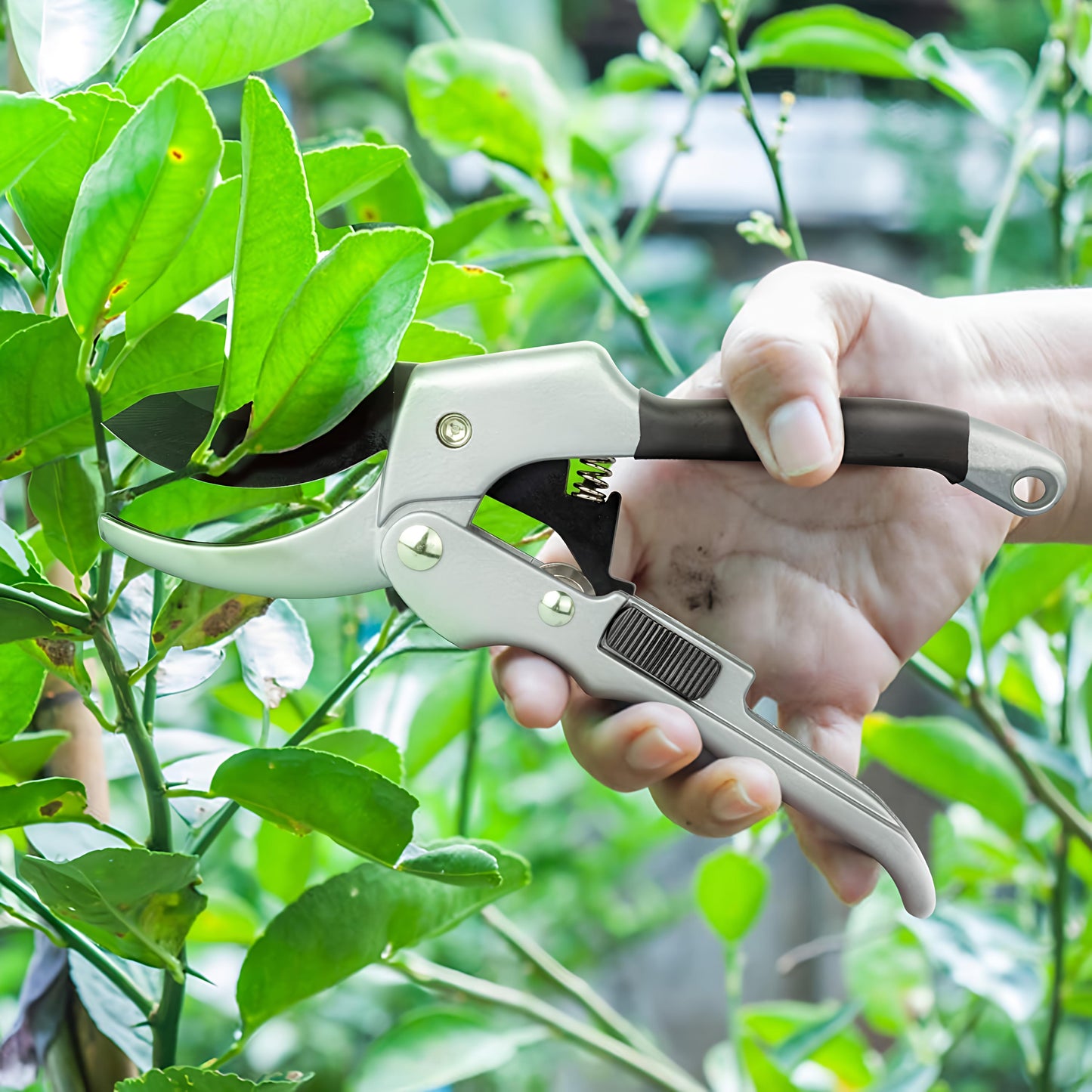 Heavy Duty Gardening Tool Tree Secateurs Plant Branch Cutter